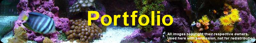 Specialty Pets saltwater, freshwater, coral, and reef fish tank service and supplies portfolio